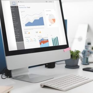 White Lable SEO 1