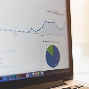 White Lable SEO