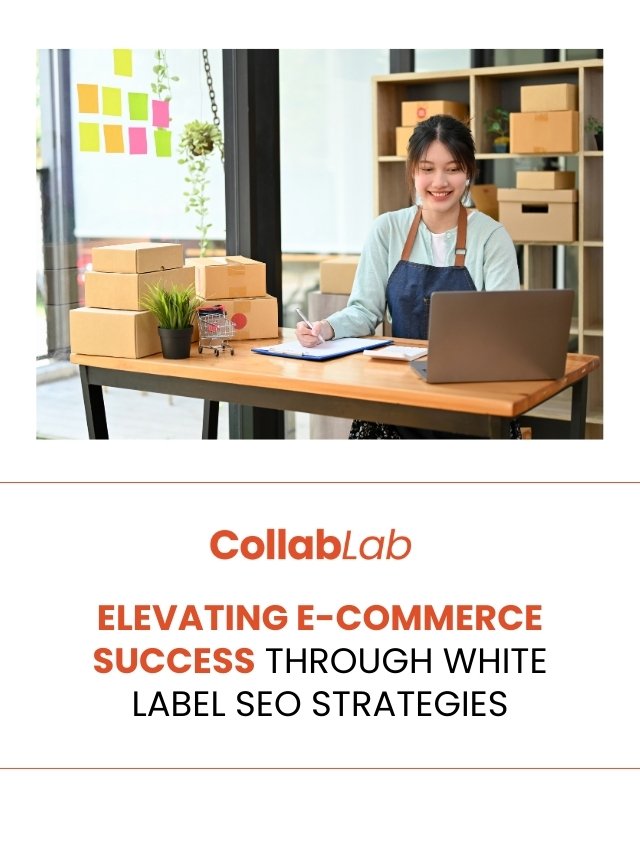 Elevating E-commerce Success Through White Label SEO