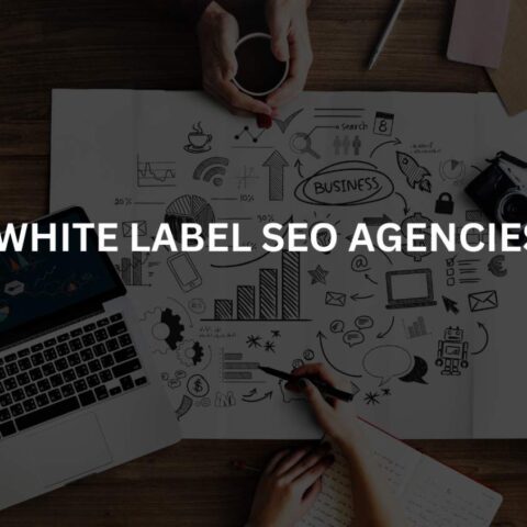 Top 10 White Label SEO Agencies (2026)