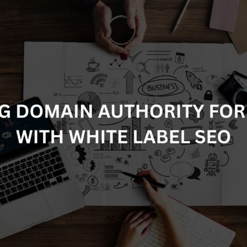 building domain authority for clients with white label seo