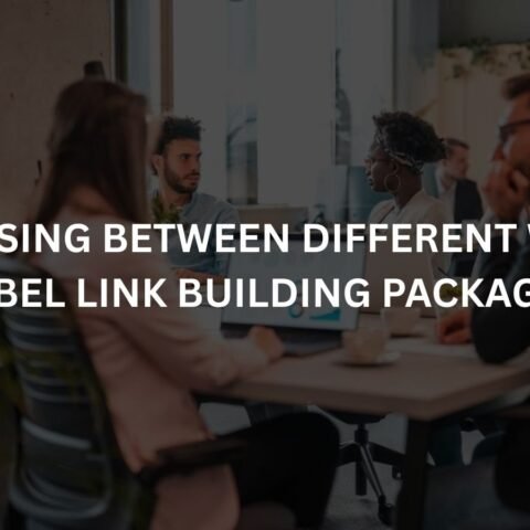 choosing between different white label link building packages
