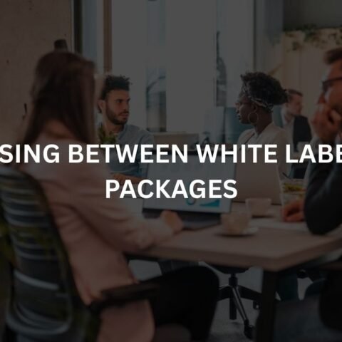 choosing-between-white-label-seo-packages