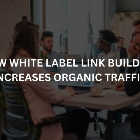 how-white-label-link-building-increases-organic-traffic