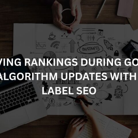 improving-rankings-during-googles-core-algorithm-updates-with-white-label-seo