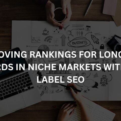 improving-rankings-for-long-tail-keywords-in-niche-markets-with-white-label-seo