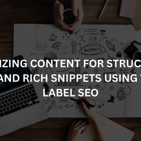 optimizing-content-for-structured-data-and-rich-snippets-using-white-label-seo