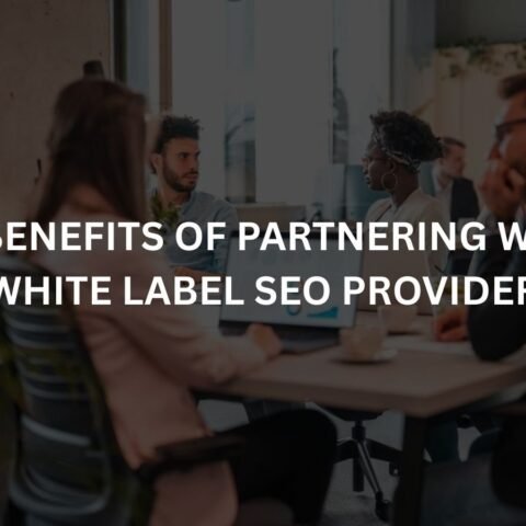 the benefits of partnering with a white label seo provider
