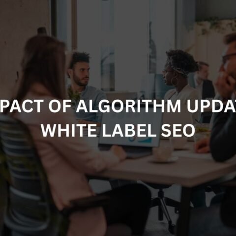 the impact of algorithm updates on white label seo