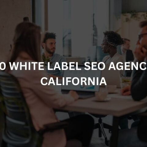 top 10 white label seo agencies in california