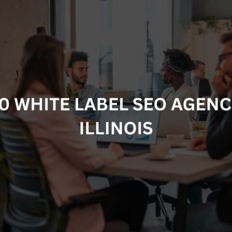 top 10 white label seo agencies in illinois