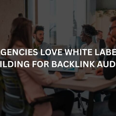 why agencies love white label link building for backlink audits