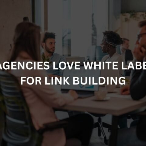 why agencies love white label seo for link building